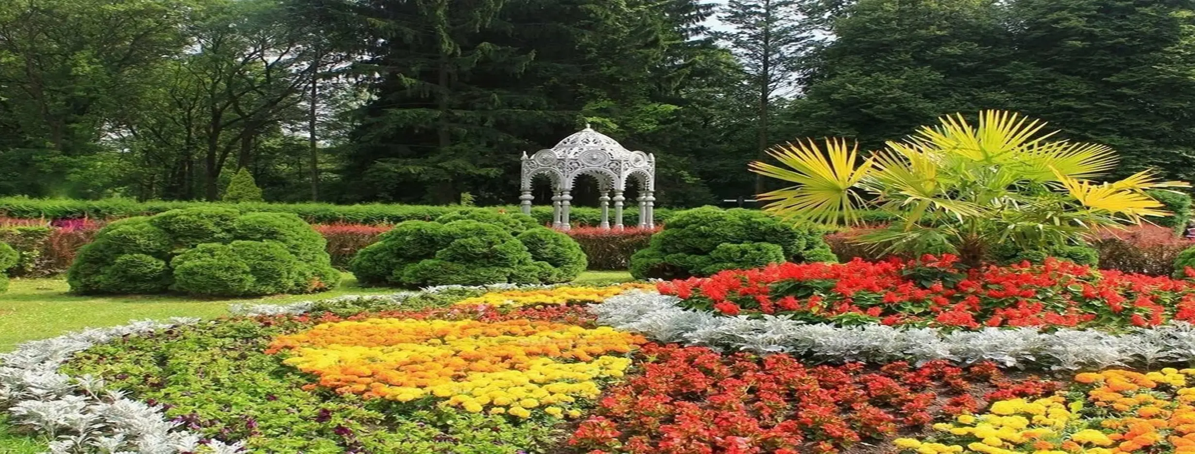 Image for Botanical Garden
